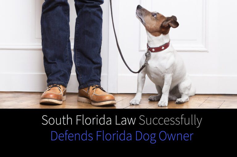 South Florida Law A picture of medium dog looking at his owner with the title "Successfully Defends Florida Dog Owner "